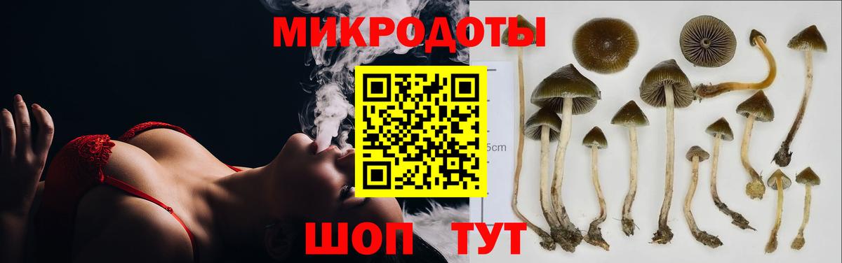 Псилоцибиновые грибы Psilocybine cubensis  Вход с VPN  Псилоцибиновые грибы Psilocybine cubensis  купить закладку  Сарапул 